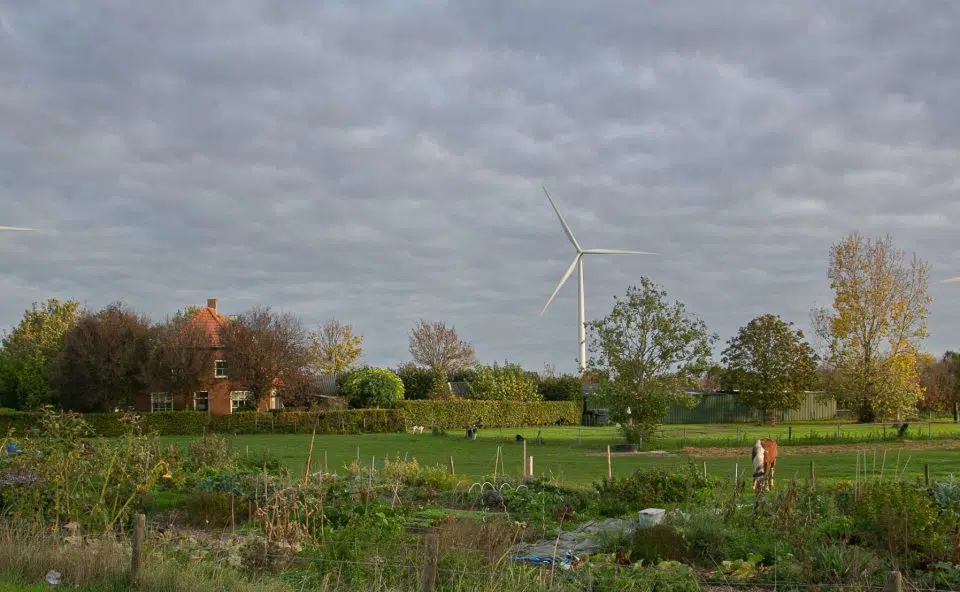 Foto van weilanden met windmolens op de achtergrond.