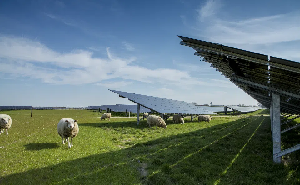 Foto van zonnepanelen die gebruik kunnen maken van matching tool.